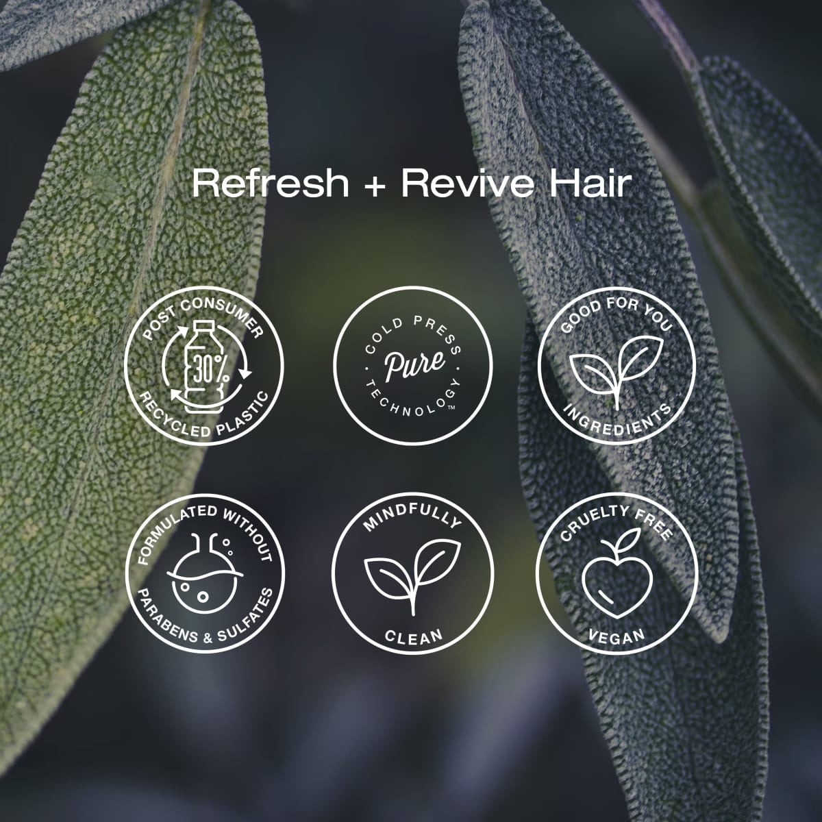 Imagen de producto 2