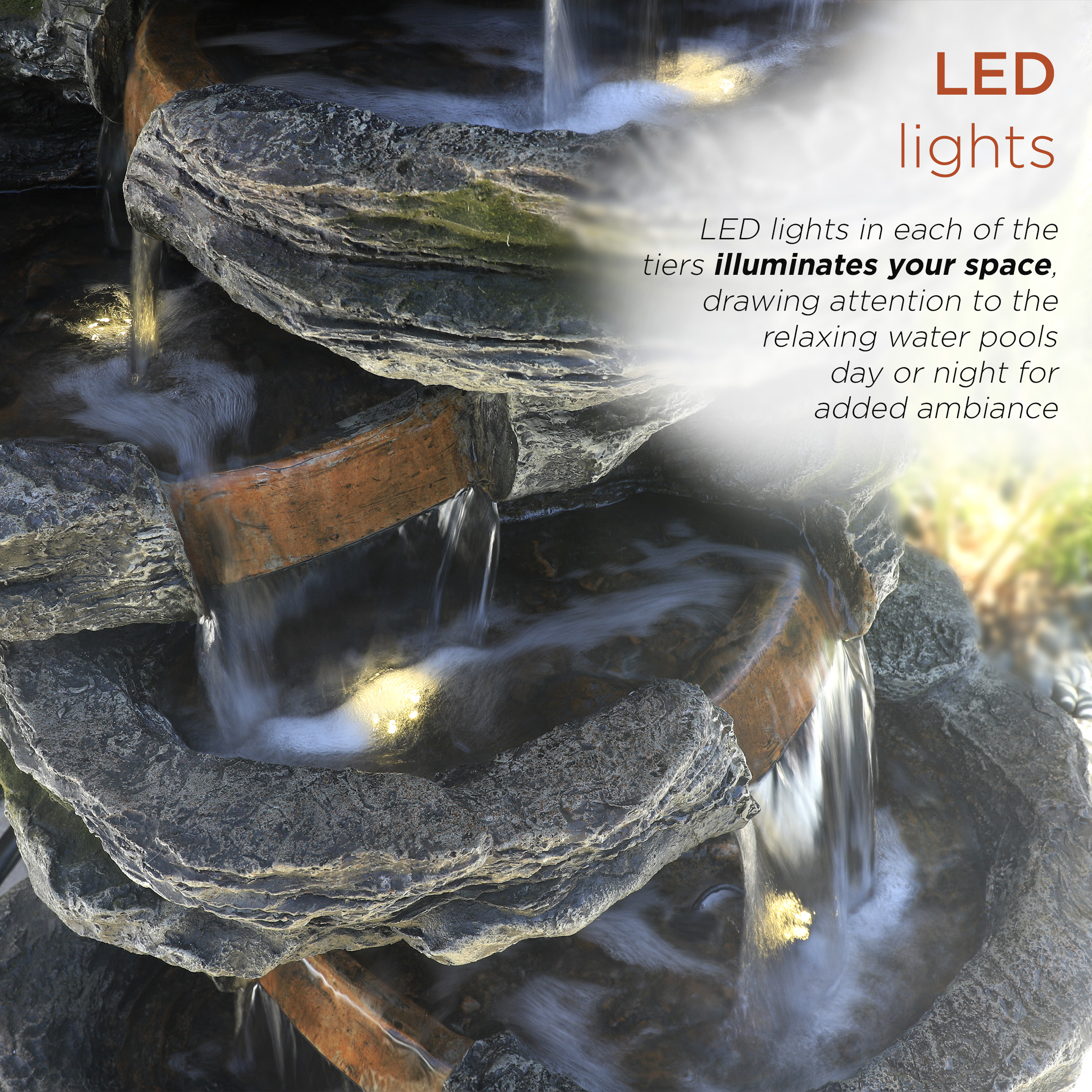 Imagen de producto 5