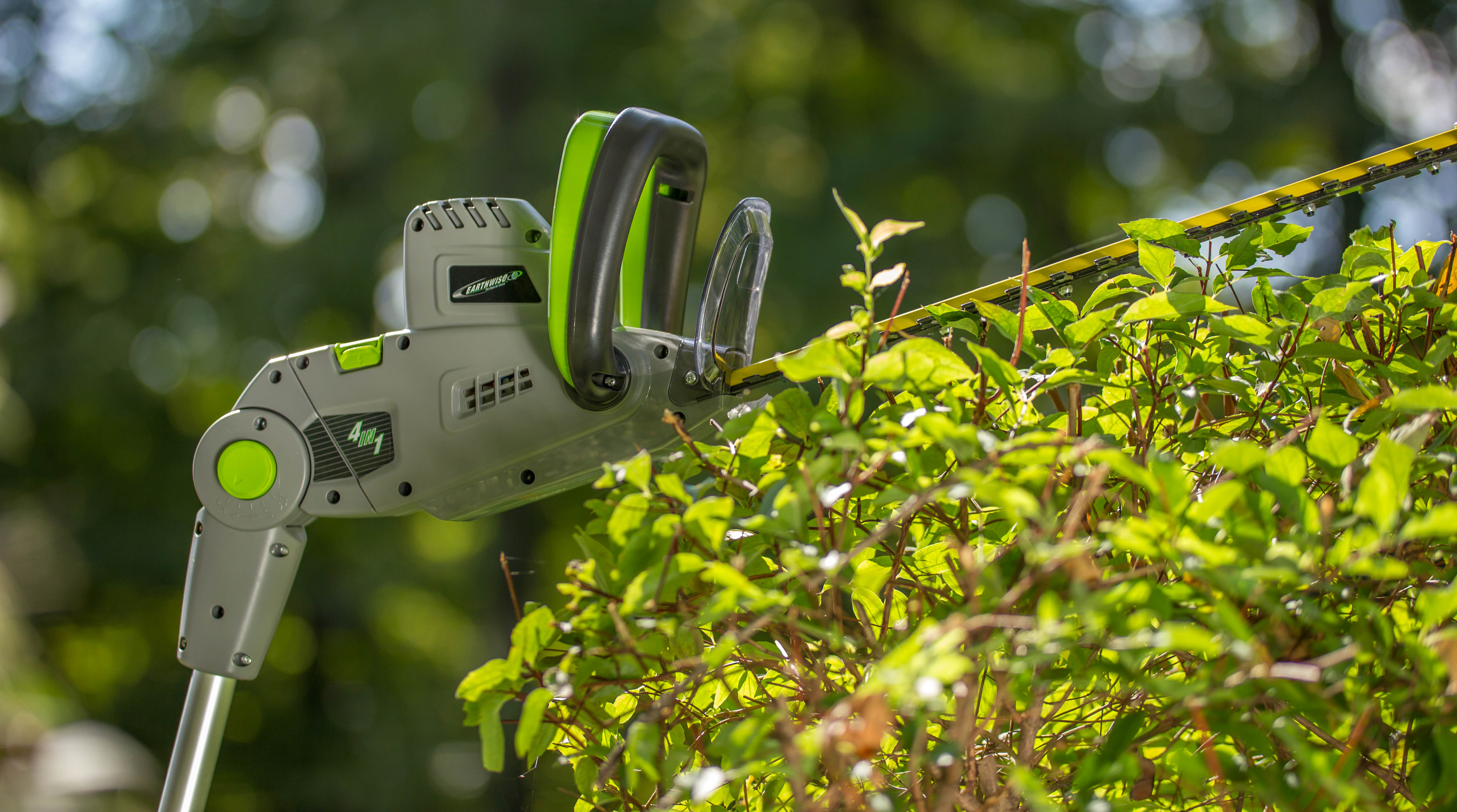 Imagen de producto 7