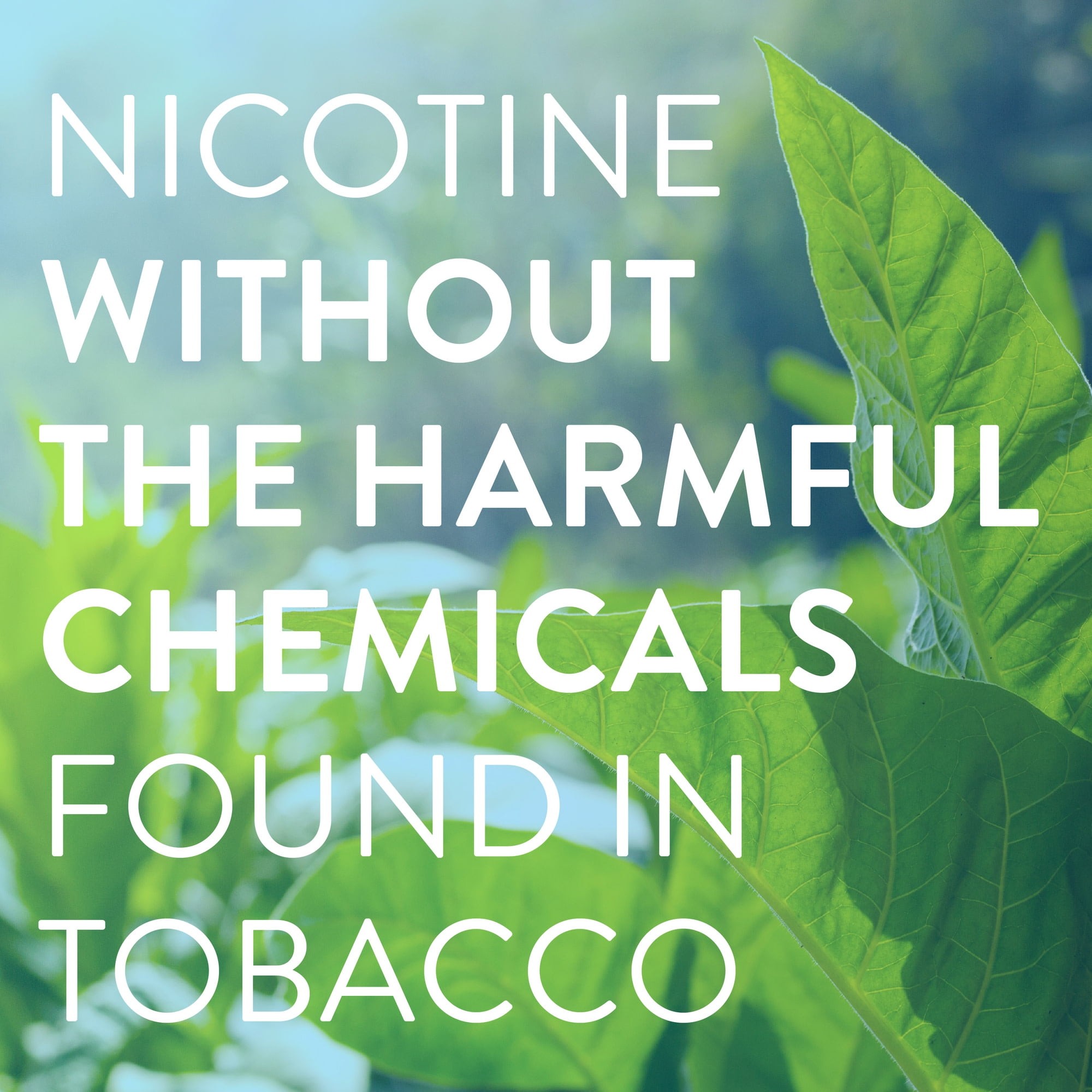 Imagen de producto 5