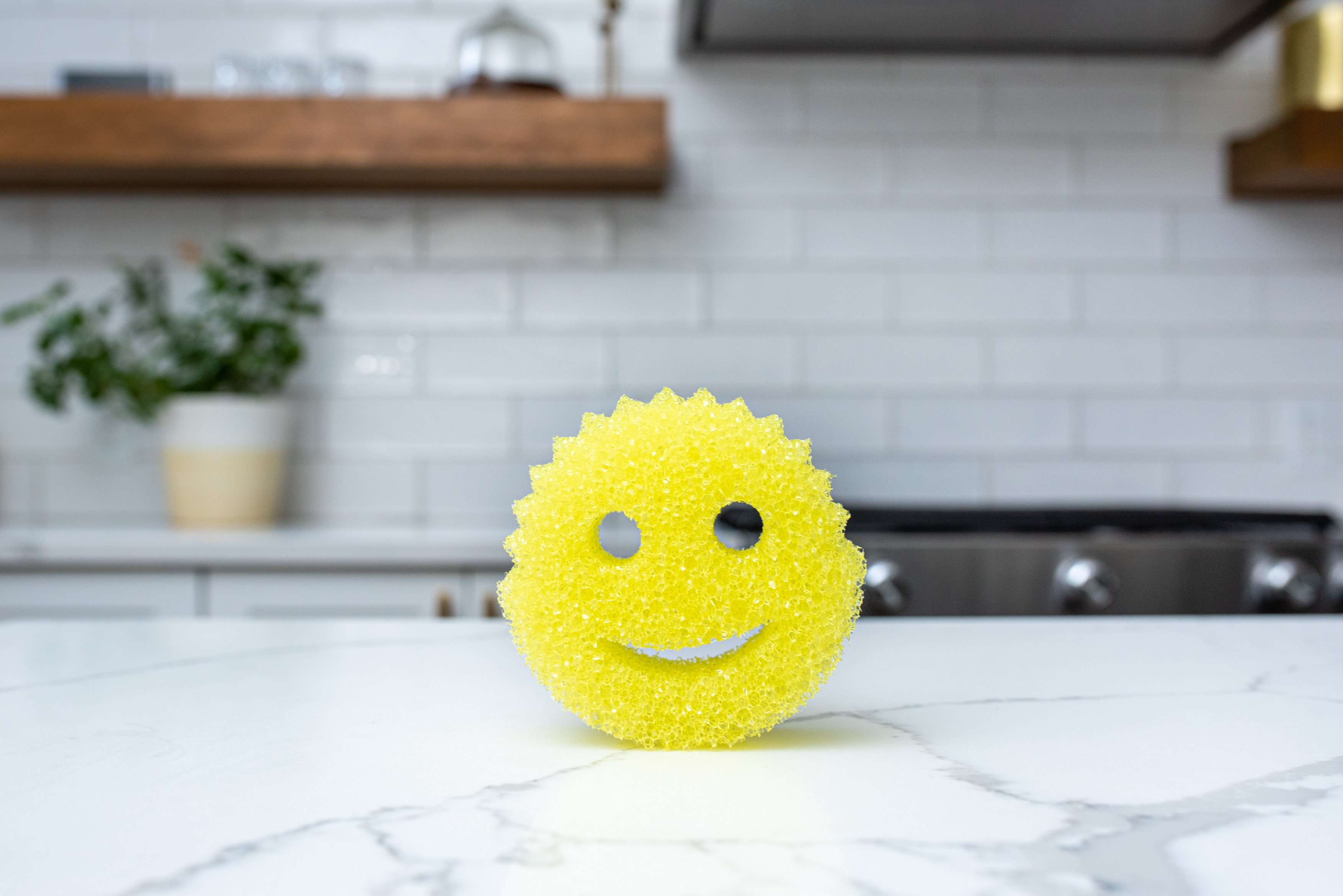 Scrub Daddy Colors (4ct Pack)