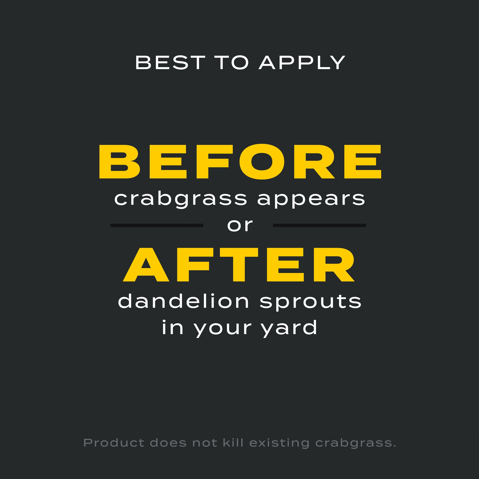 Imagen de producto 7