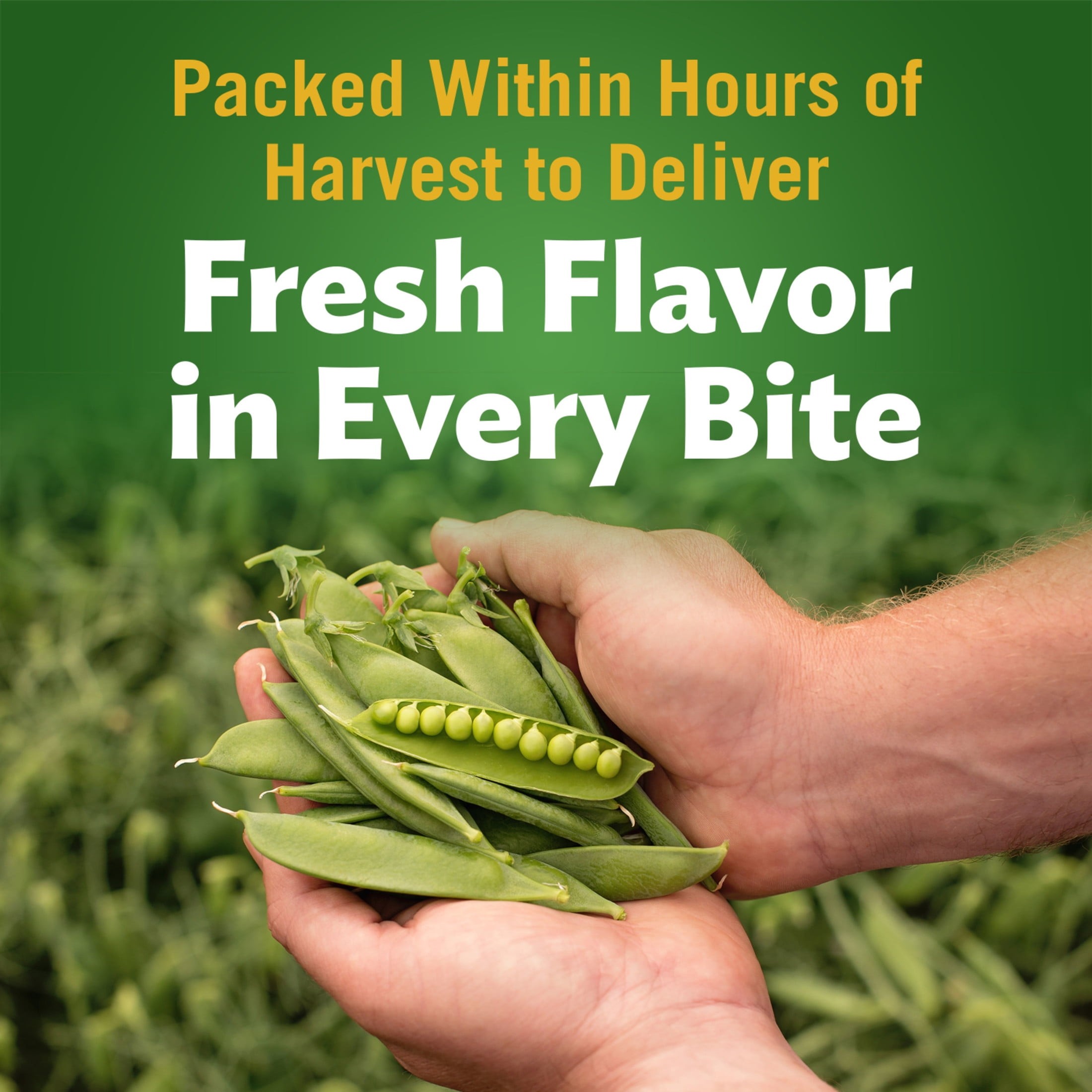 Imagen de producto 4