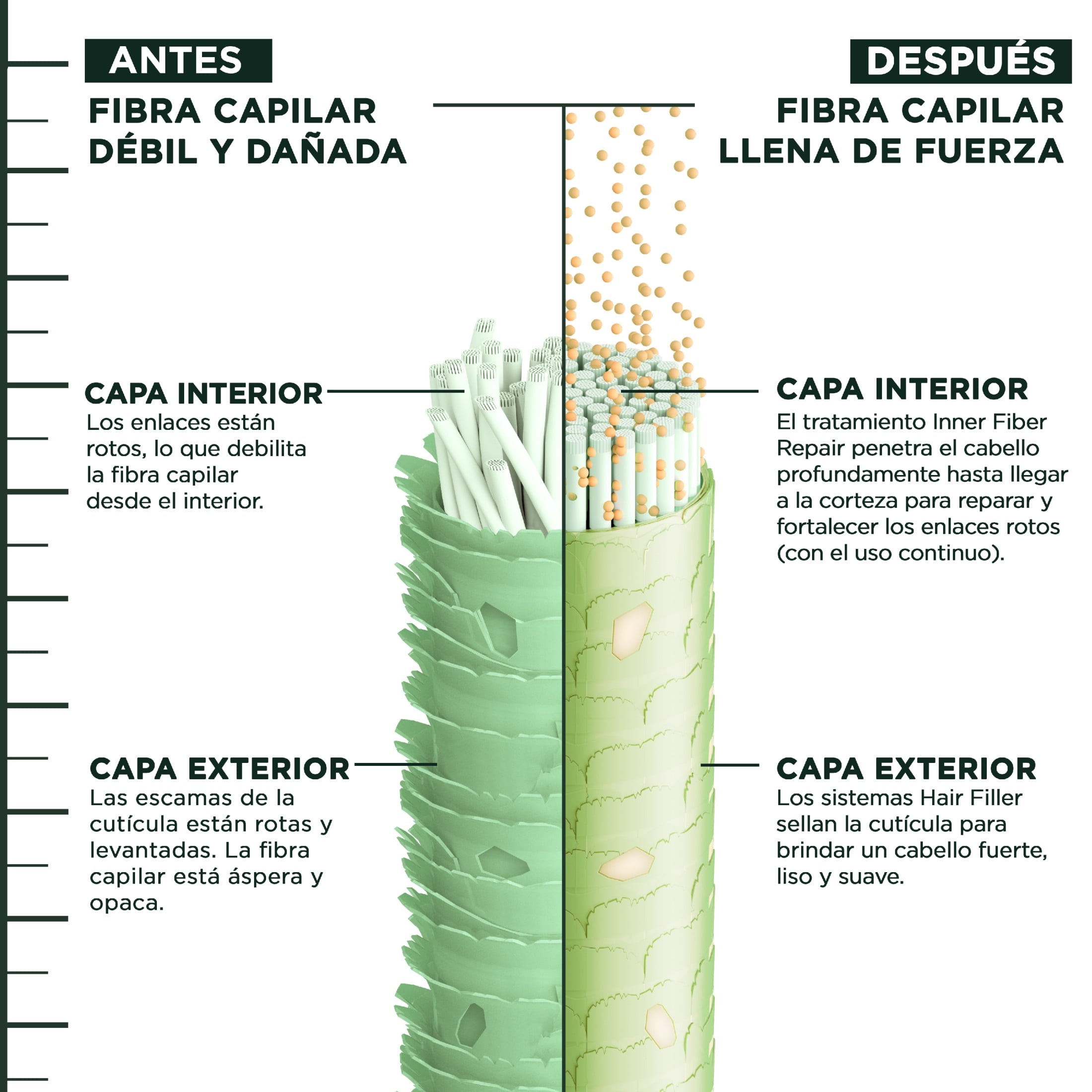 Imagen de producto 6