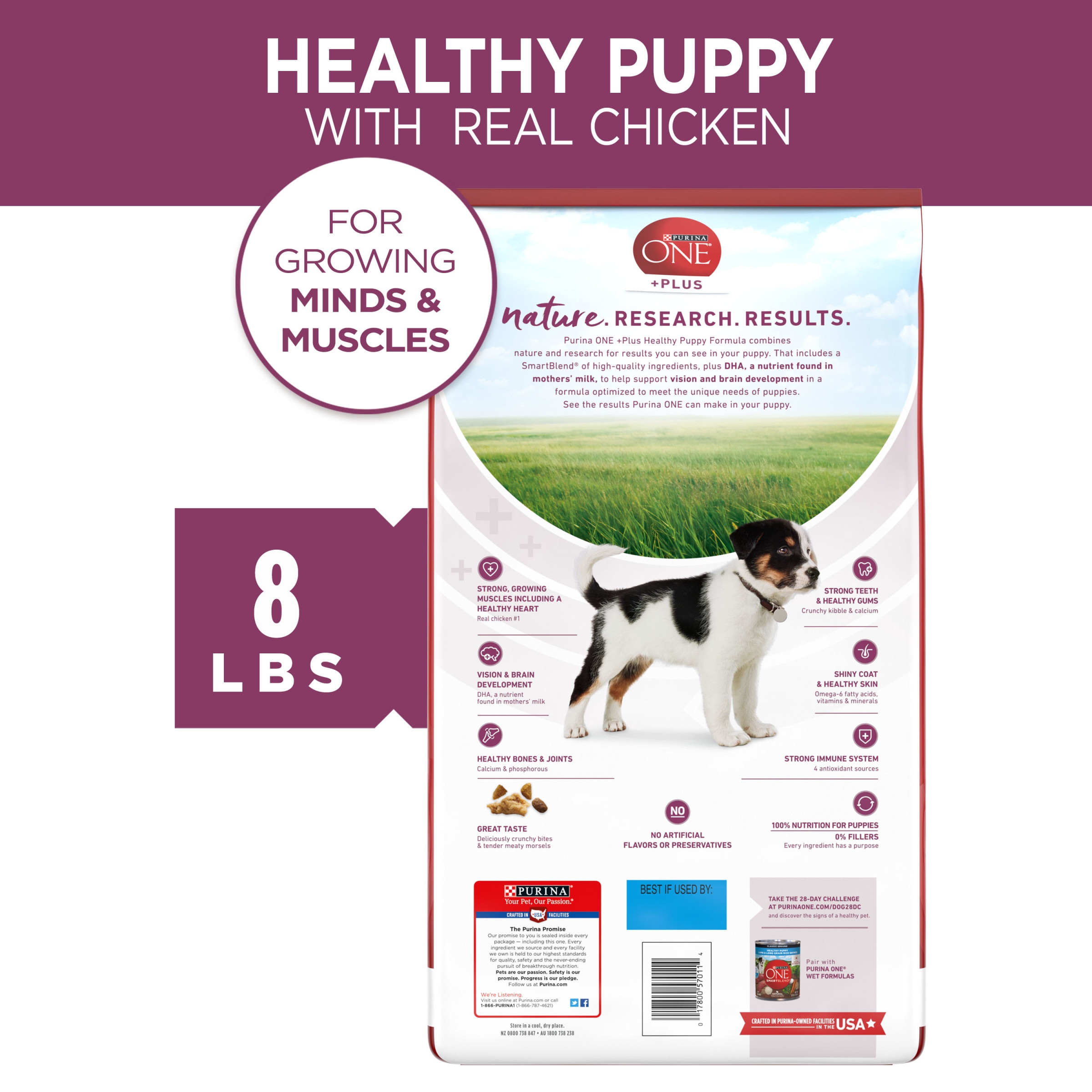 Purina ONE Natural, High Protein Dry Puppy Food, Plus Healthy Puppy