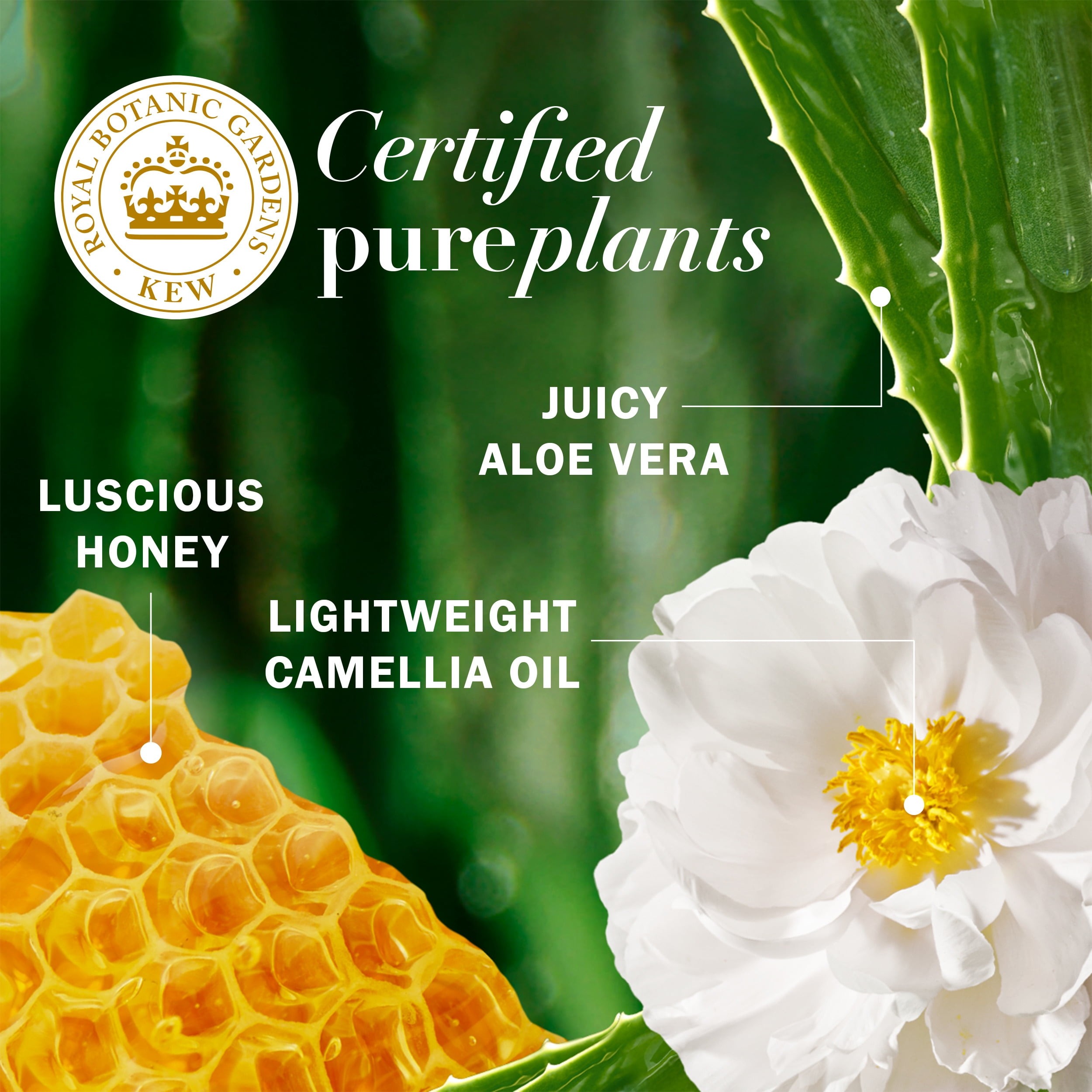 Imagen de producto 4