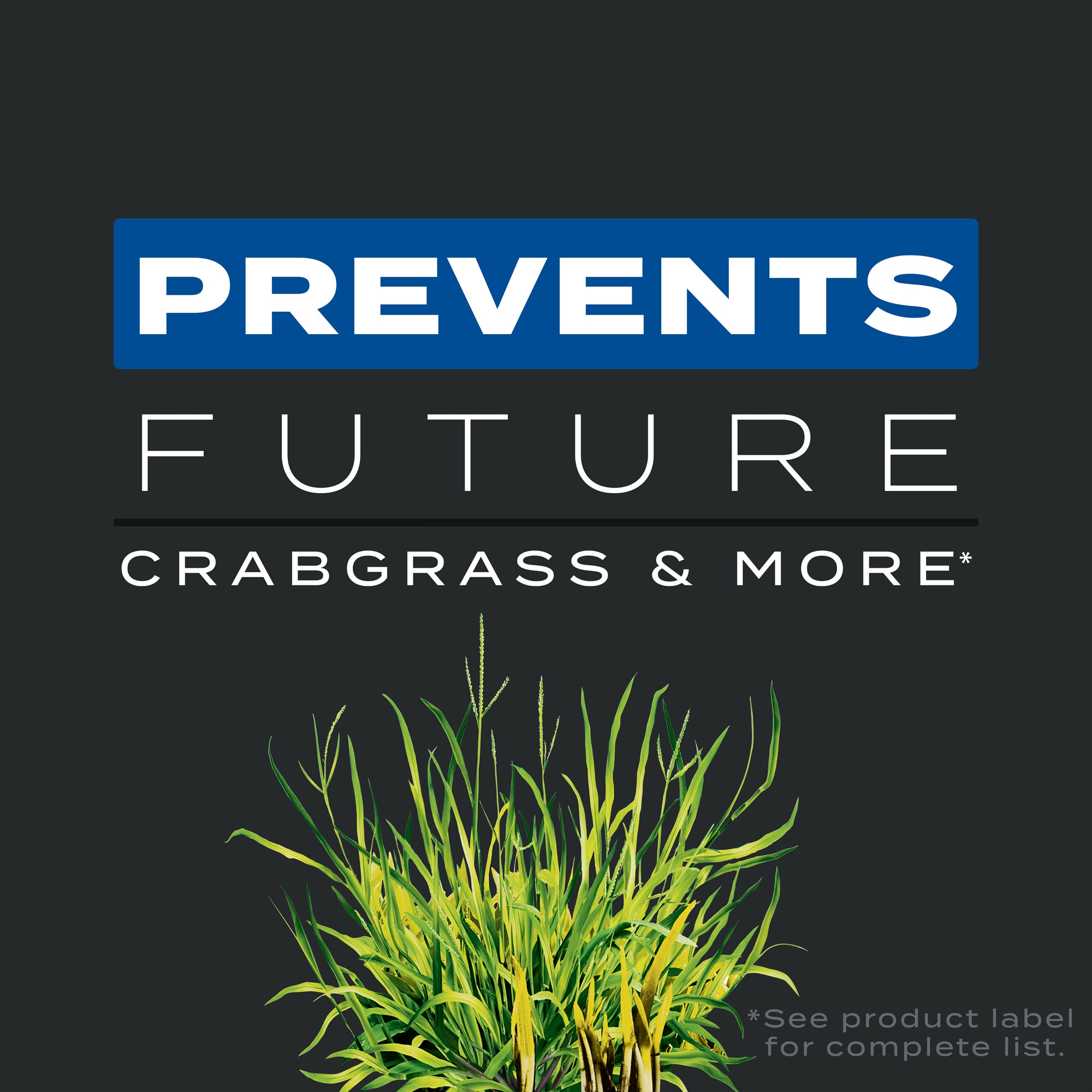 Imagen de producto 3