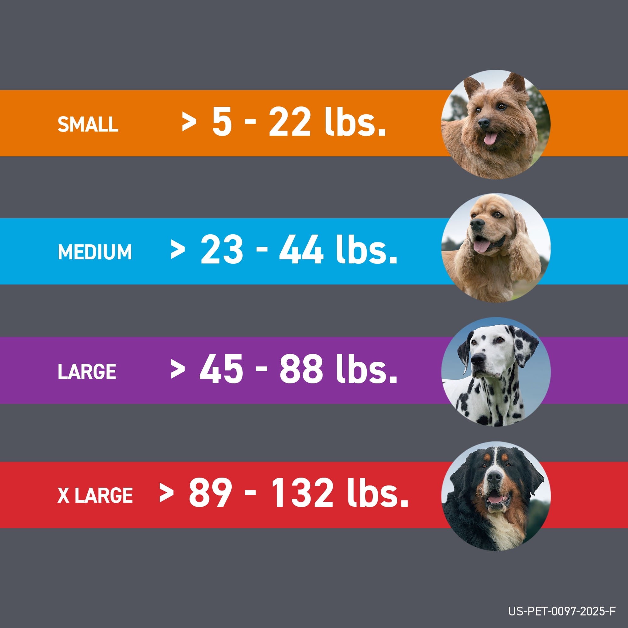 Imagen de producto 6