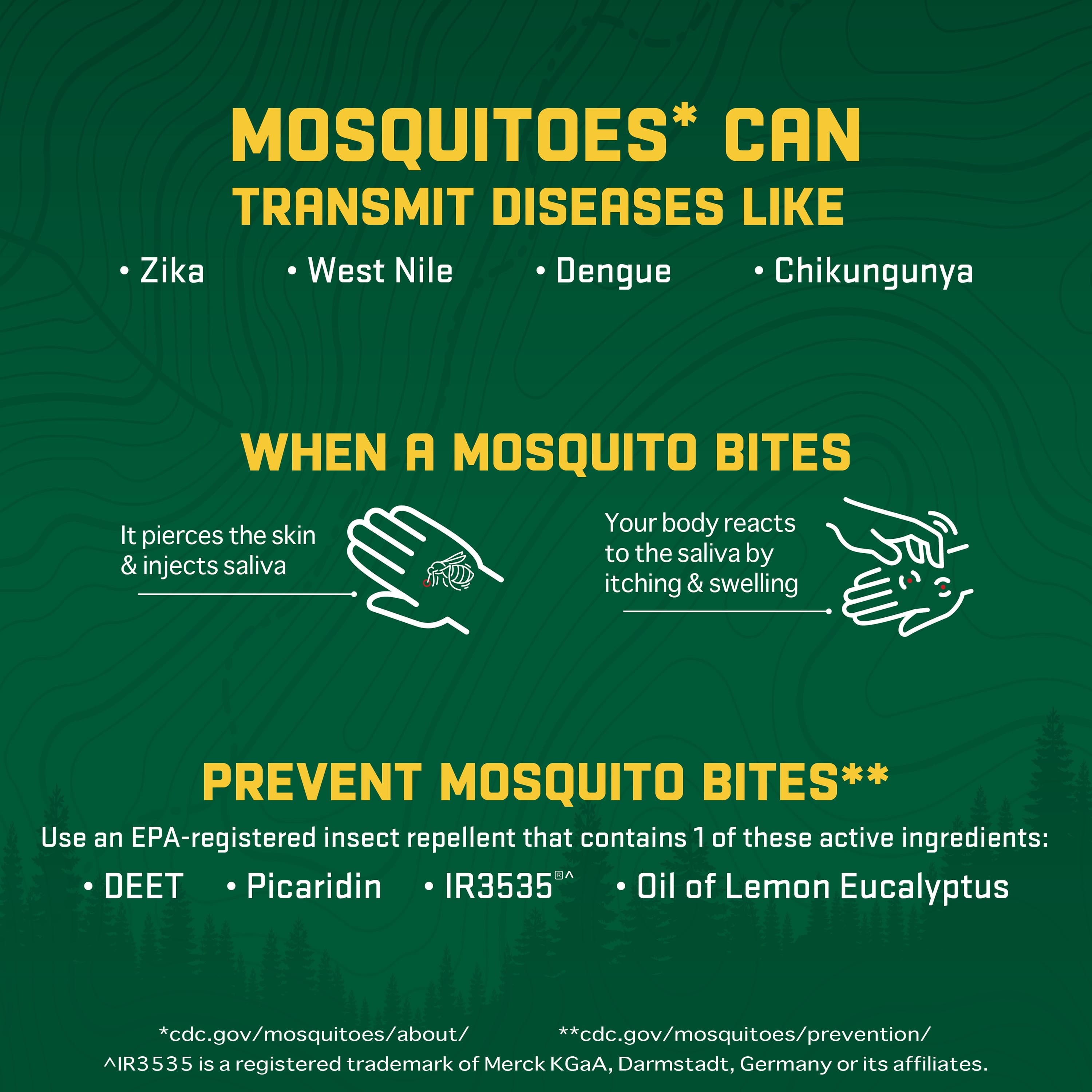 Imagen de producto 3