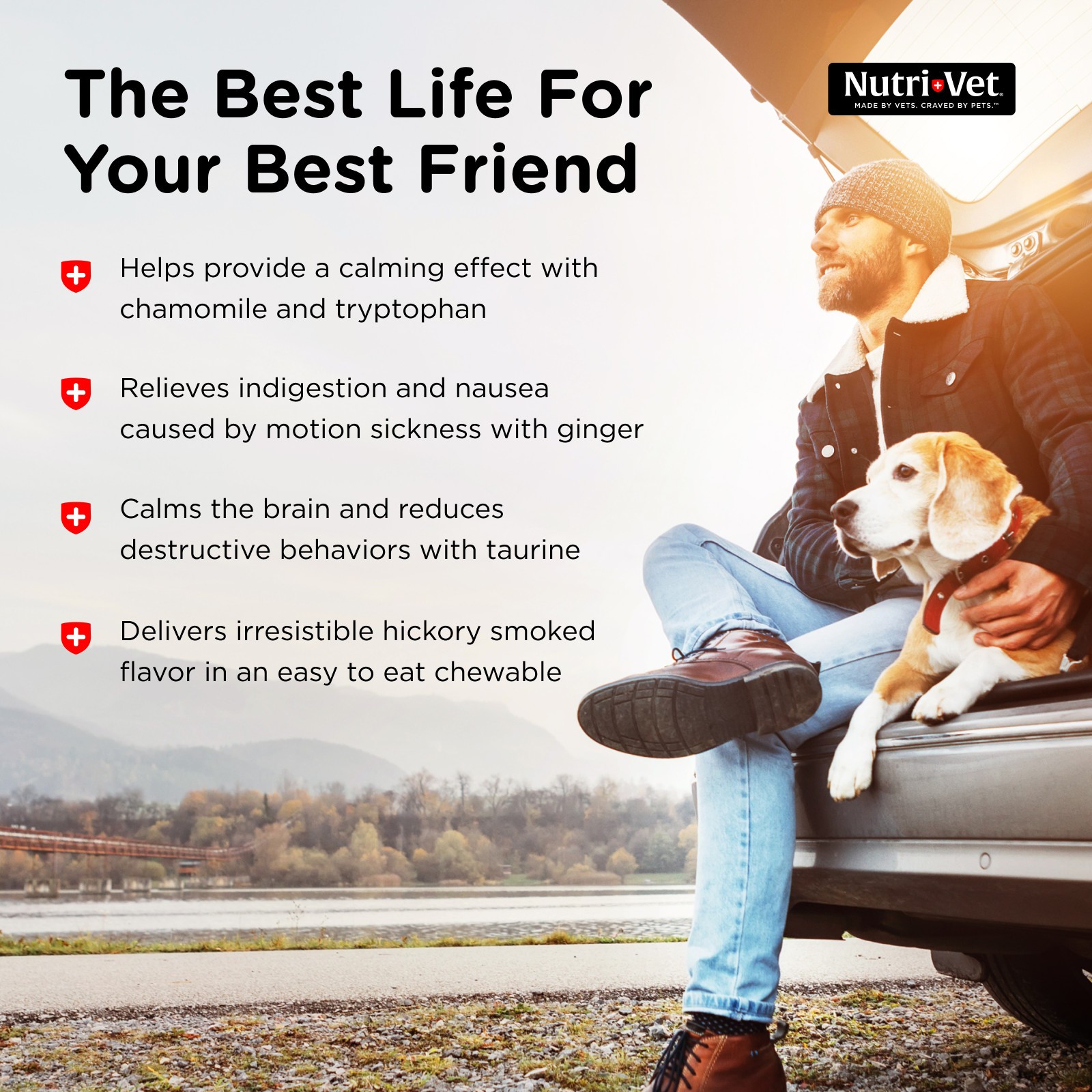 NutriVet PetEase Soft Chews for Dogs Best Deals and Price History at