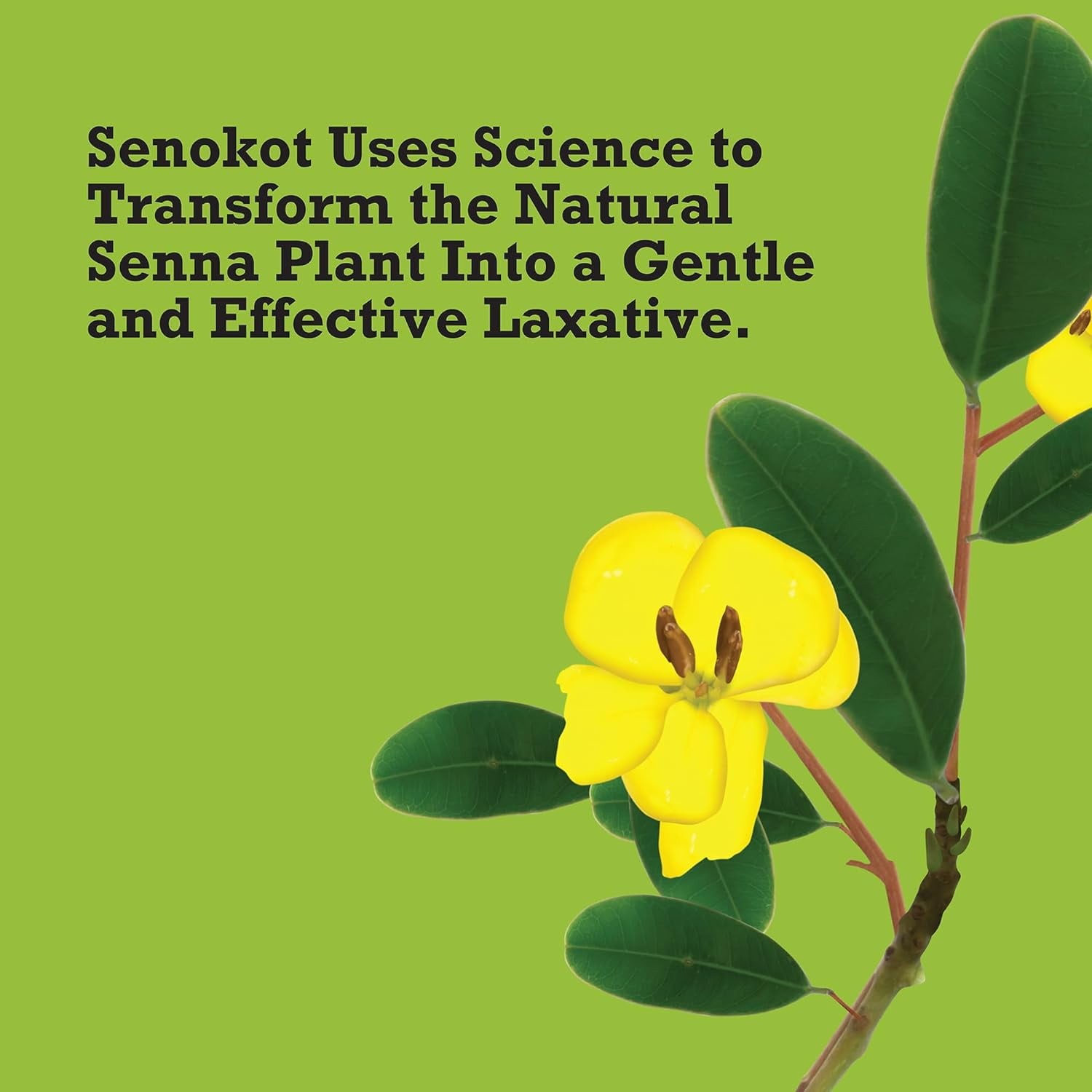 Imagen de producto 5