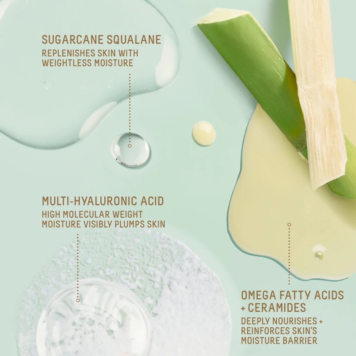 Imagen de producto 6