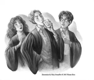 Imagen de producto 5