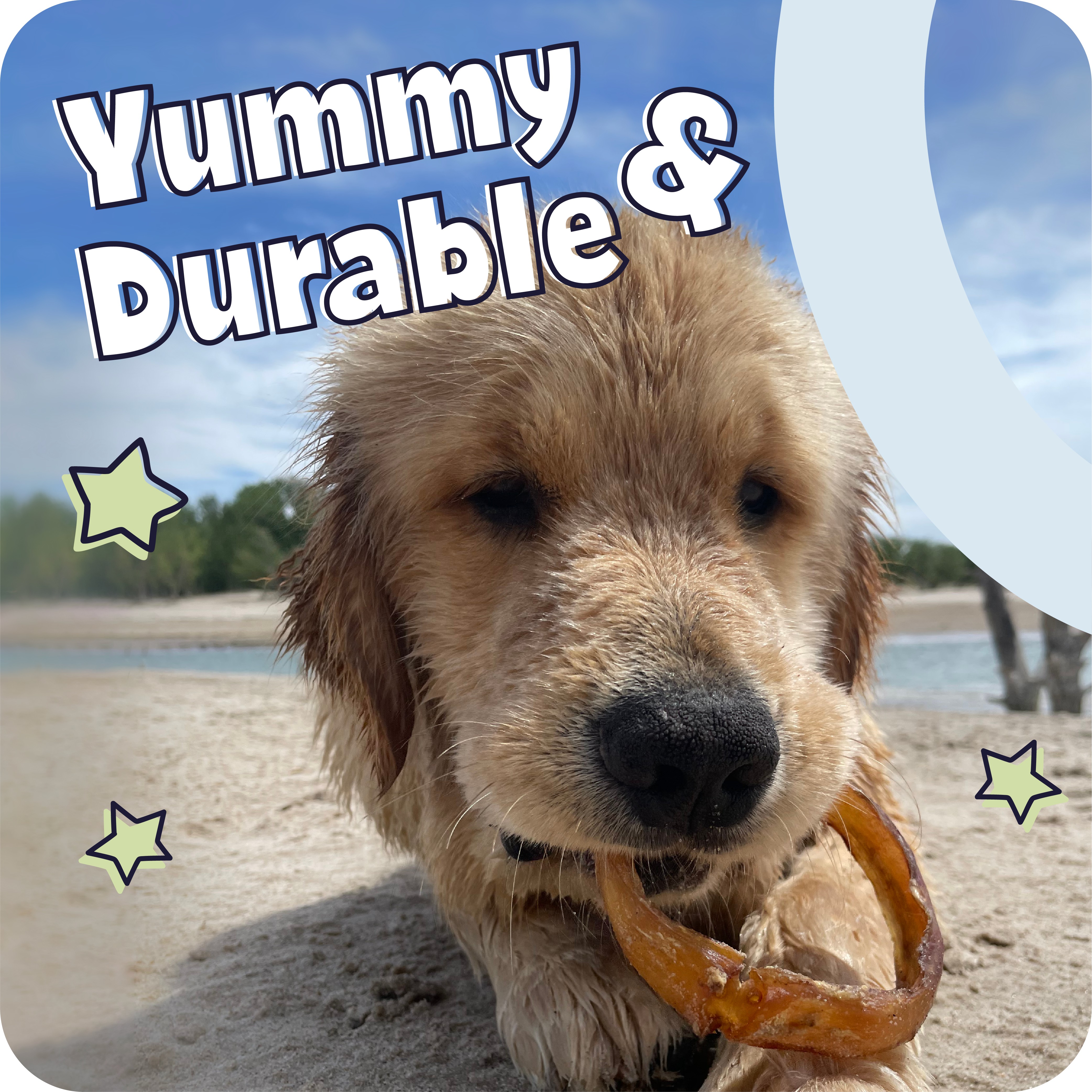 Imagen de producto 7