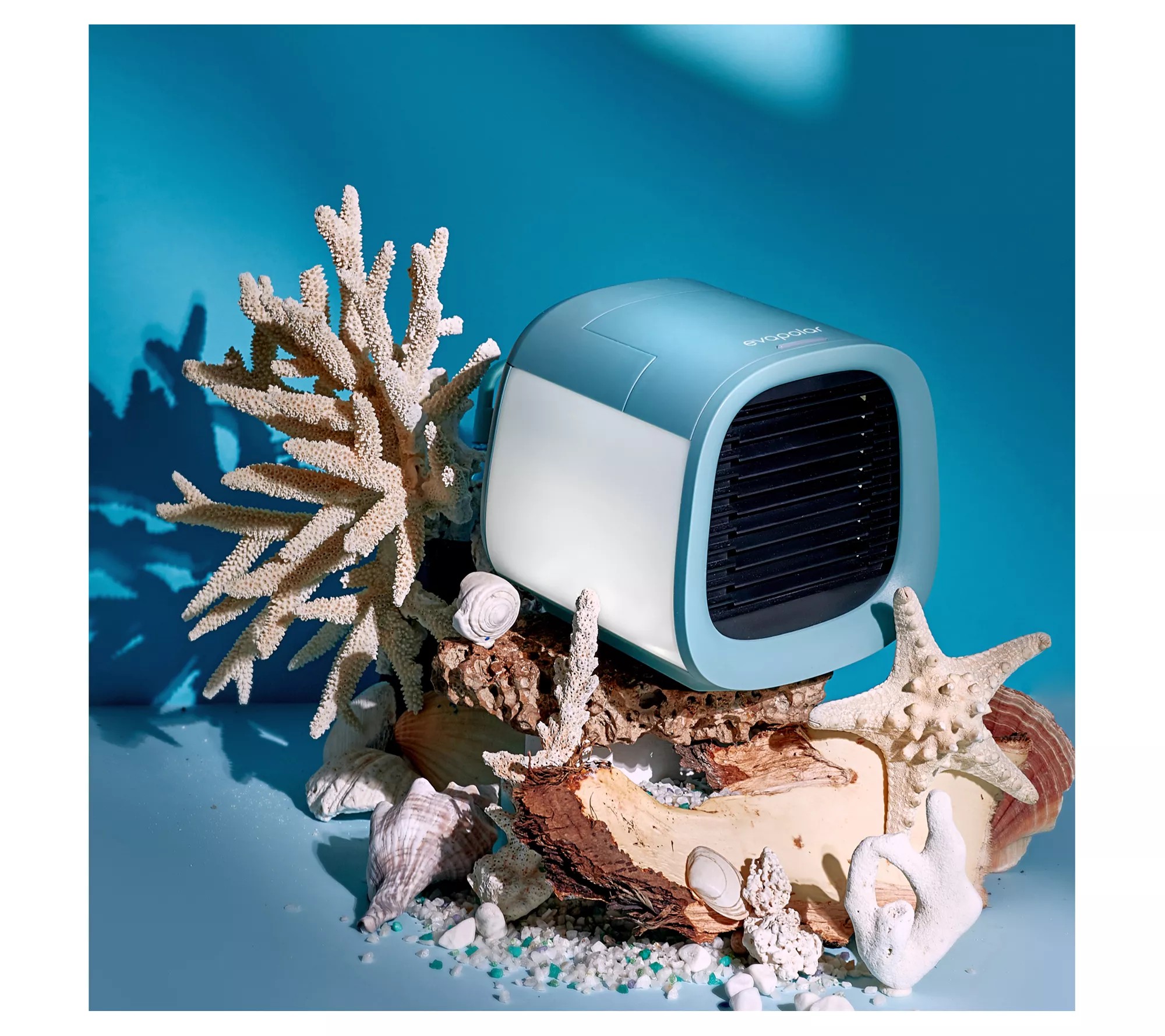 Imagen de producto 6