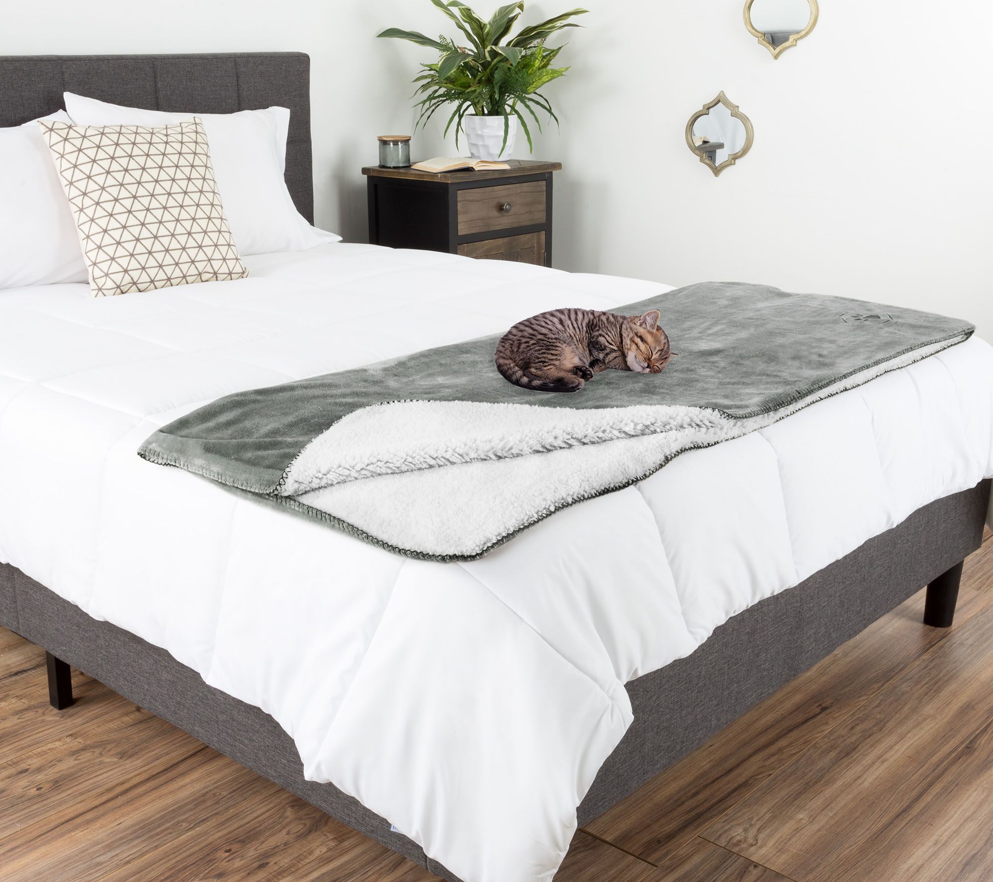 Imagen de producto 2