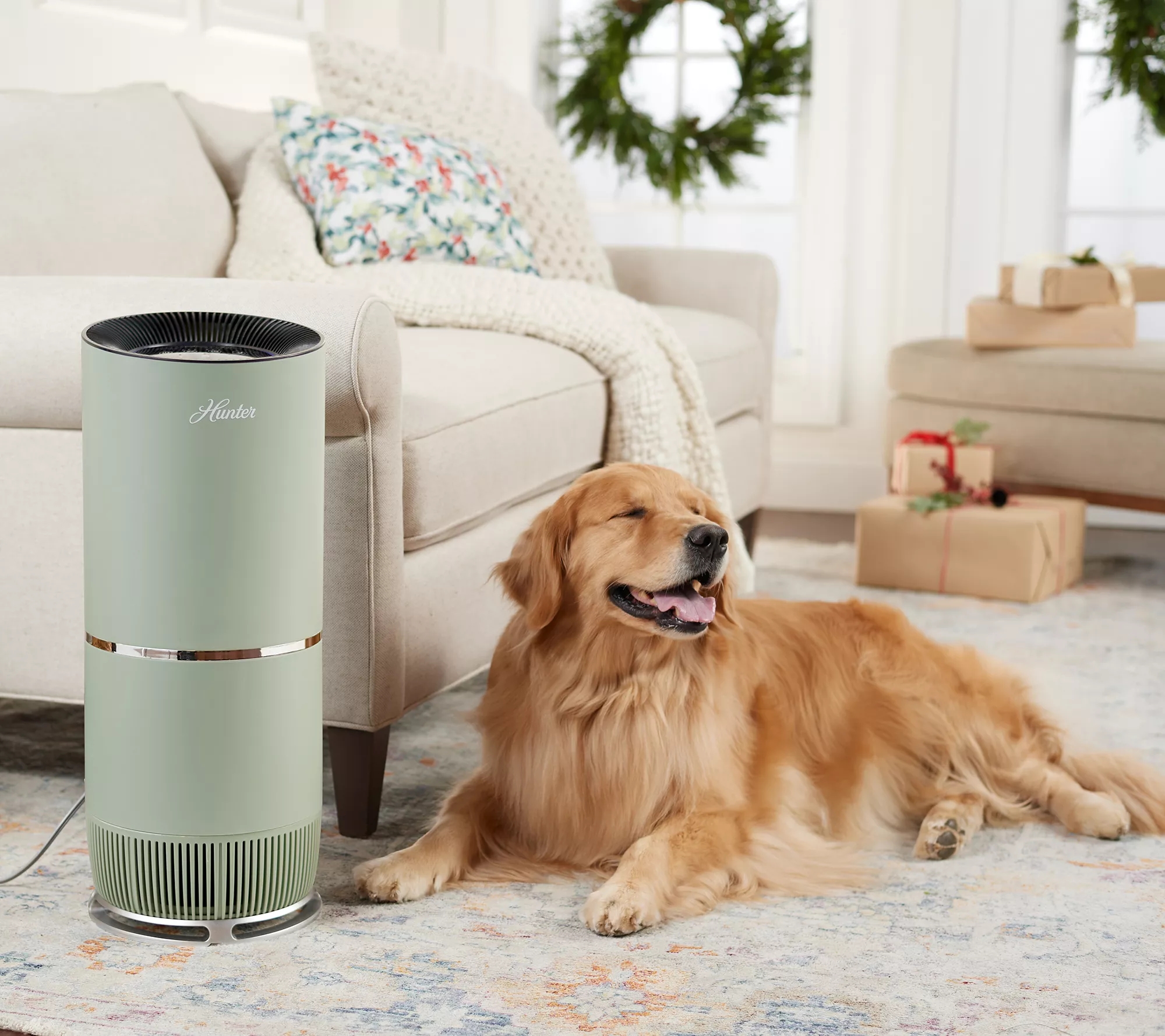 Immagine del prodotto 7