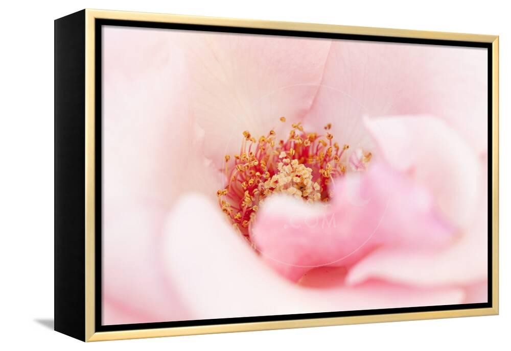 Imagen de producto 4