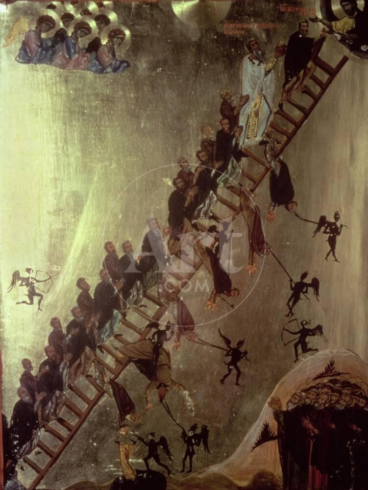 Imagen de producto 1