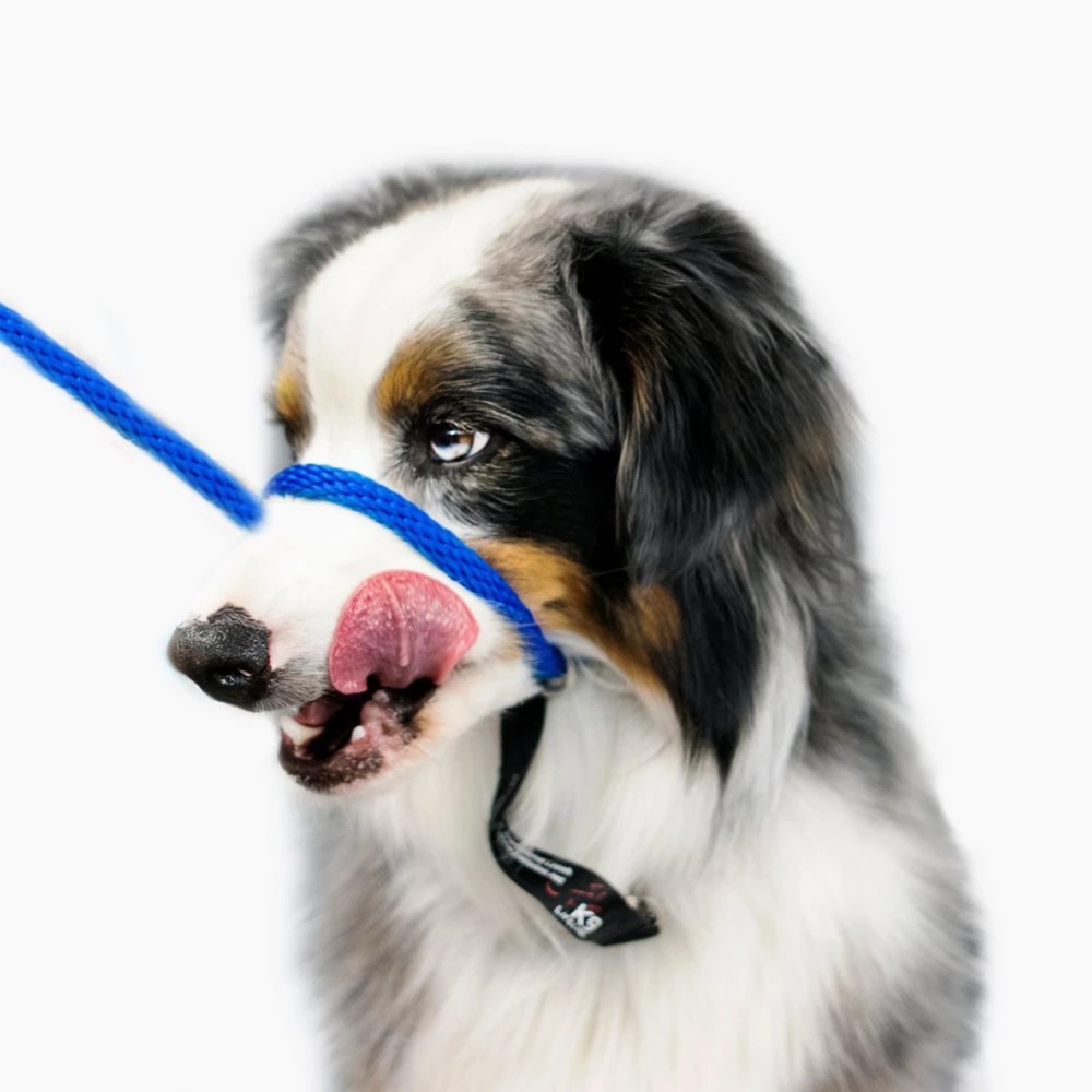 K9 Lifeline Transitional Leash le migliori offerte e lo storico dei