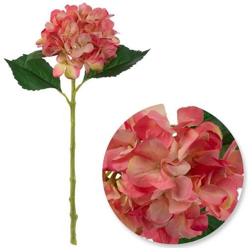 Imagen de producto 1