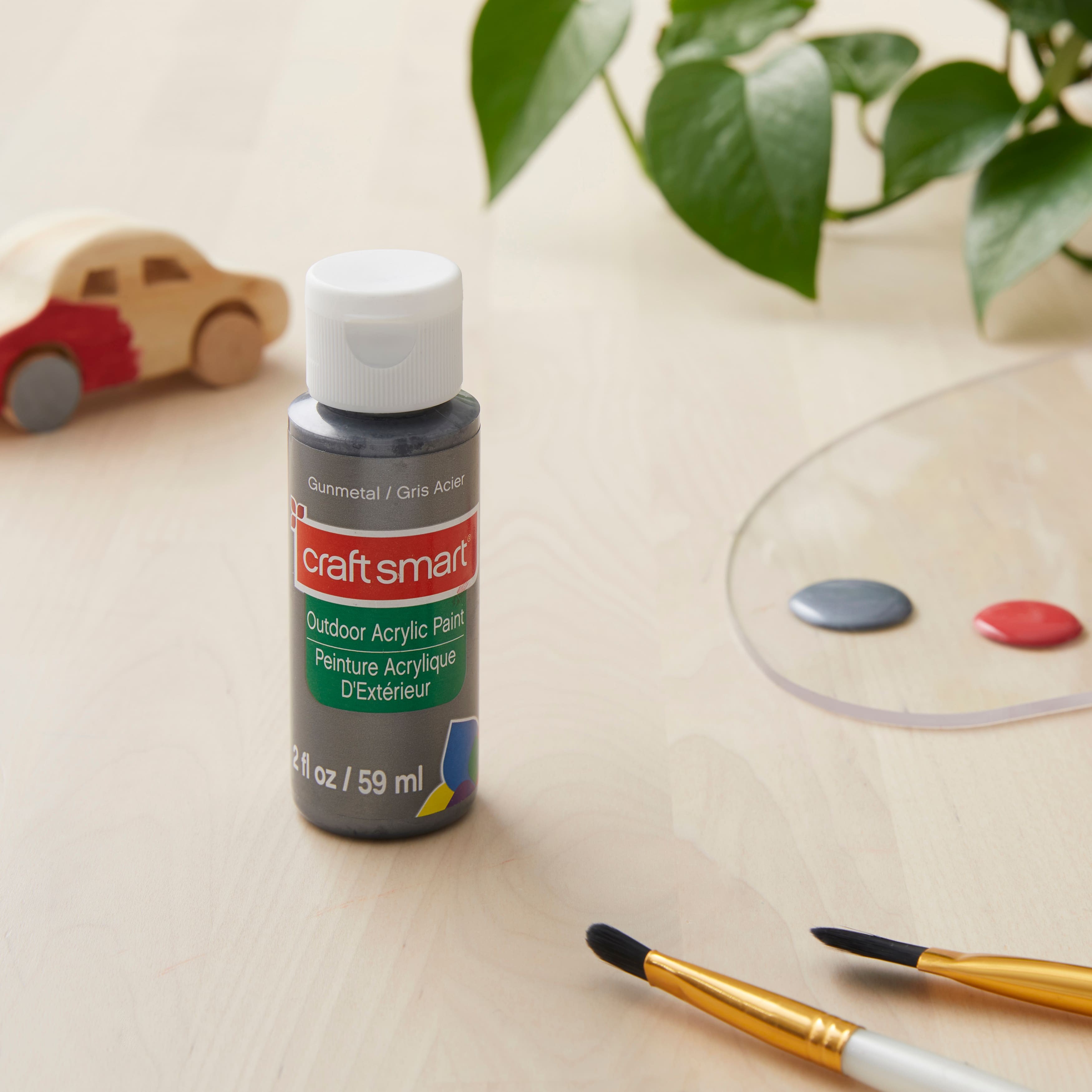 Metallic Paint by Craft Smart®