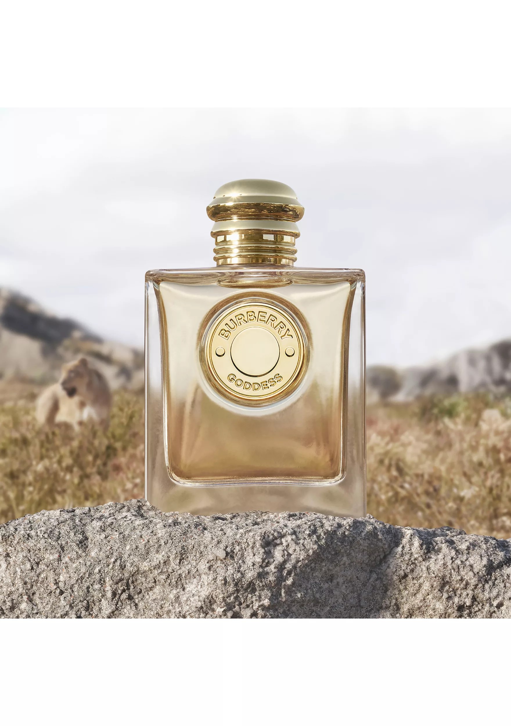 Imagen de producto 2