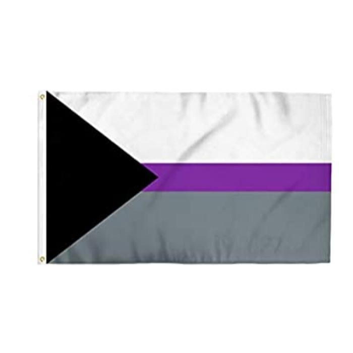 Demisexual Pride Gay Lgbt Rainbow Flags Banners 3x5ft 100d Polyester Vivid Color With Two Brass 3920