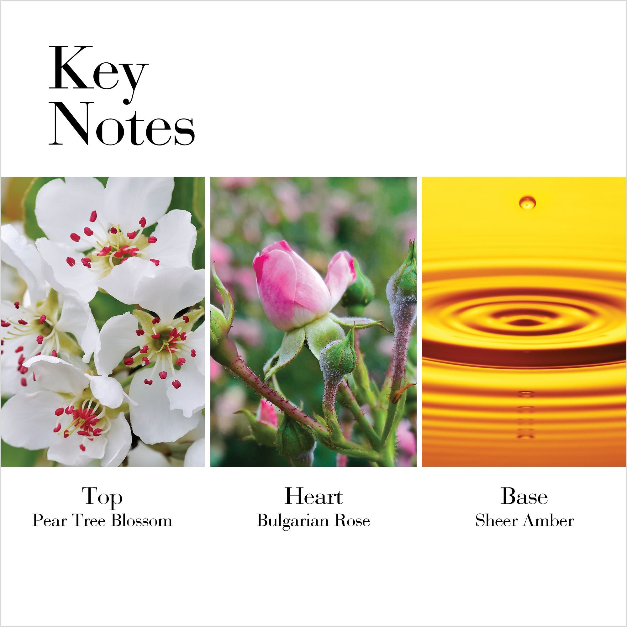 Imagen de producto 4