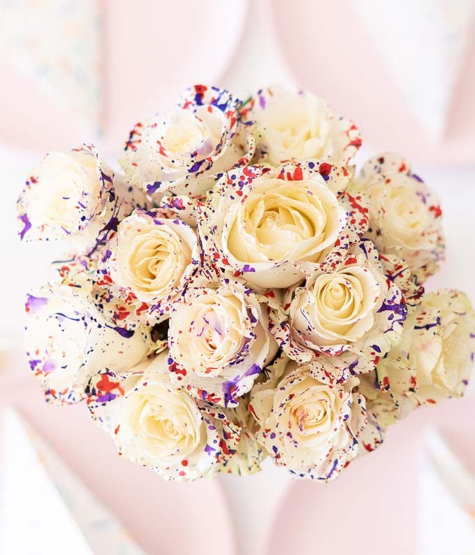 Imagen de producto 4