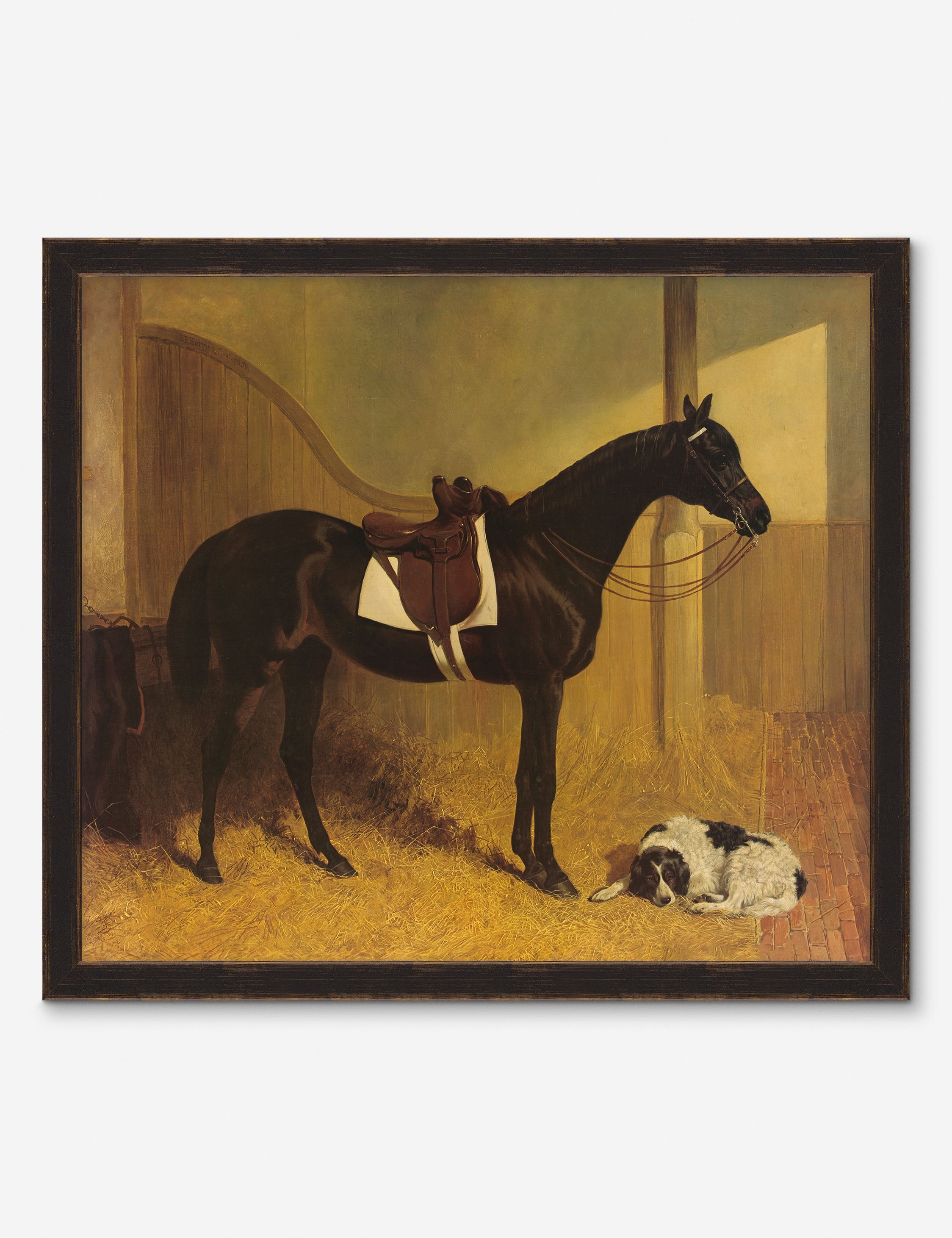 Horse I Wall Art - Thumbnail 4