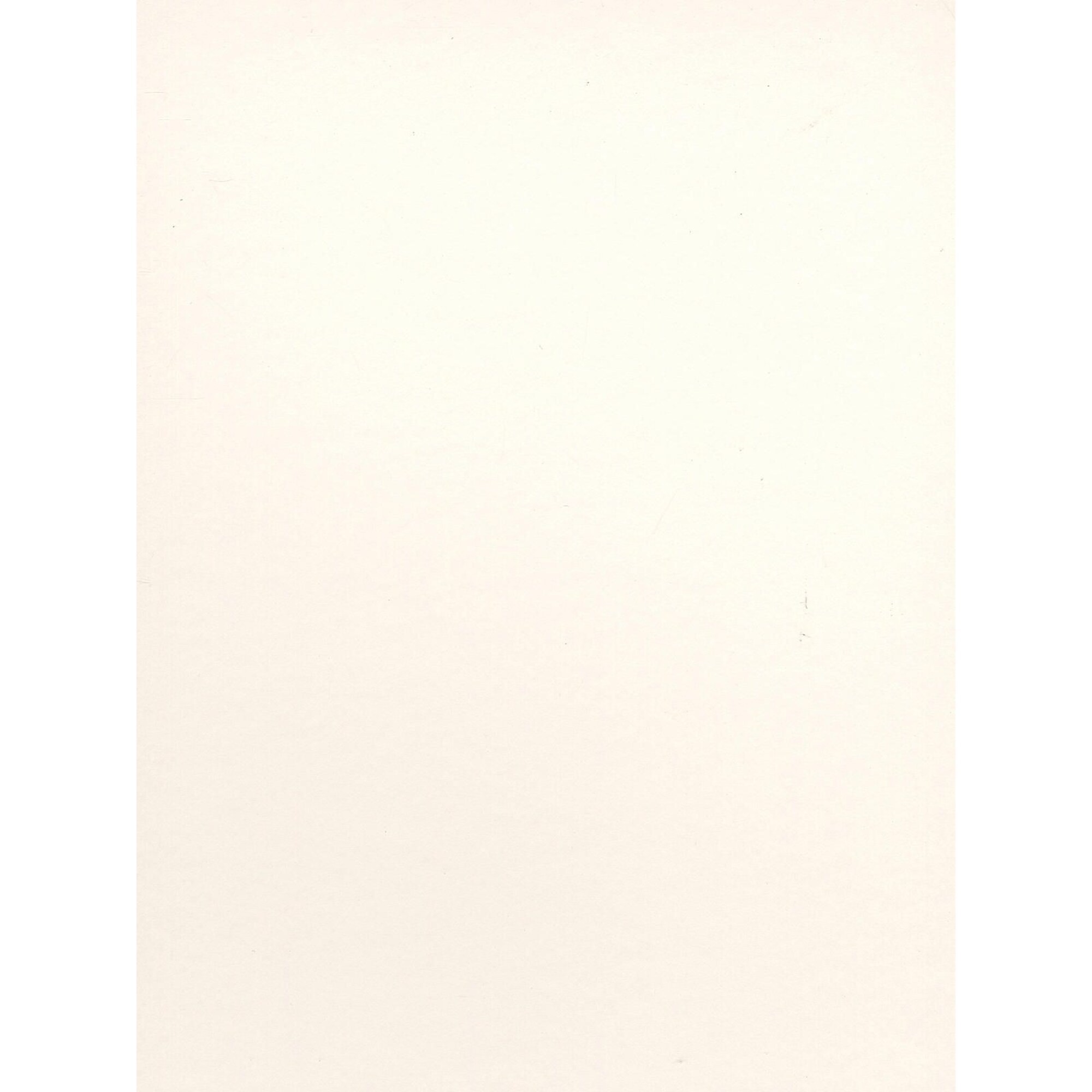 Canson Bristol Smooth Art Board 16 In. X 20 In. [Pack Of 5] (5PK ...