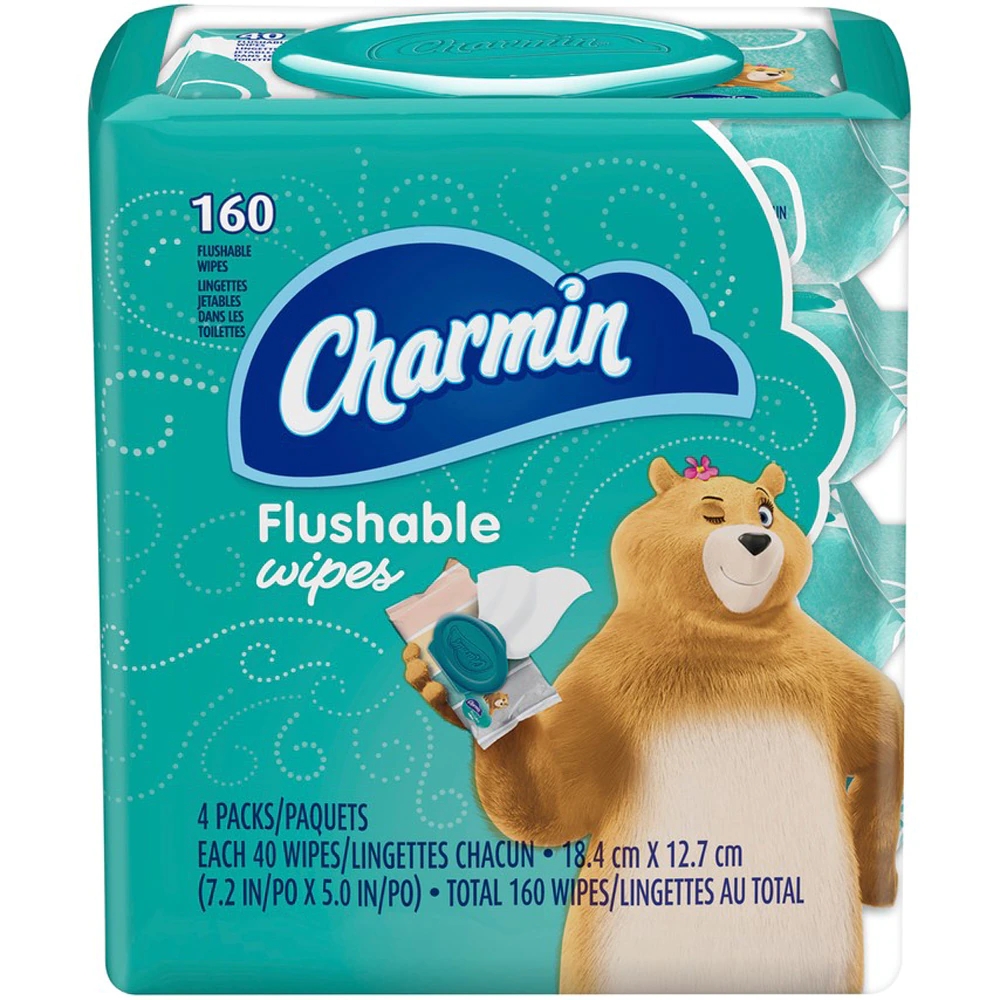 Charmin Flushable Wipes 160 Wipes Best Deals and Price History at