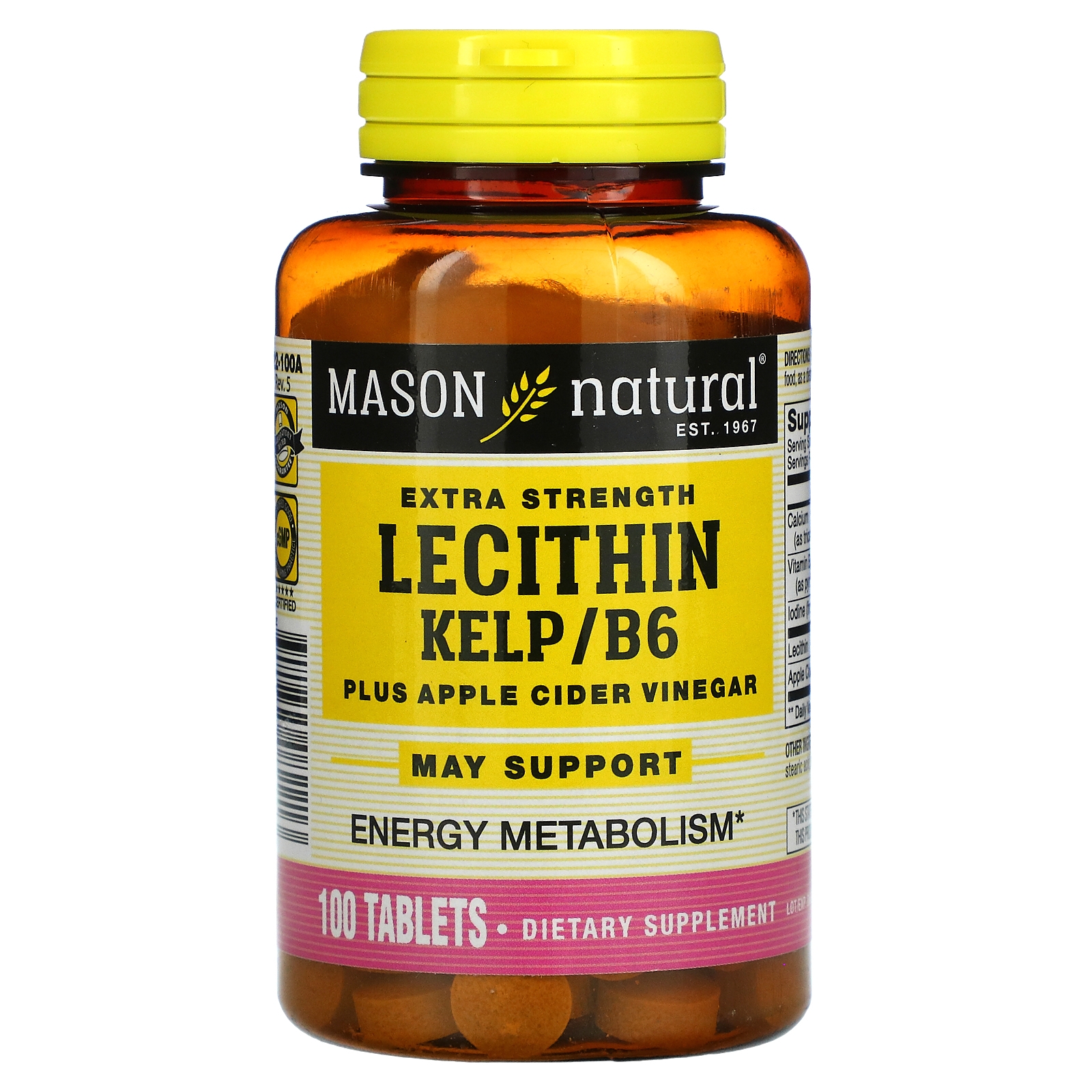 Mason Natural, Extra Strength Lecithin Kelp/B6 Plus Apple Cider Vinegar