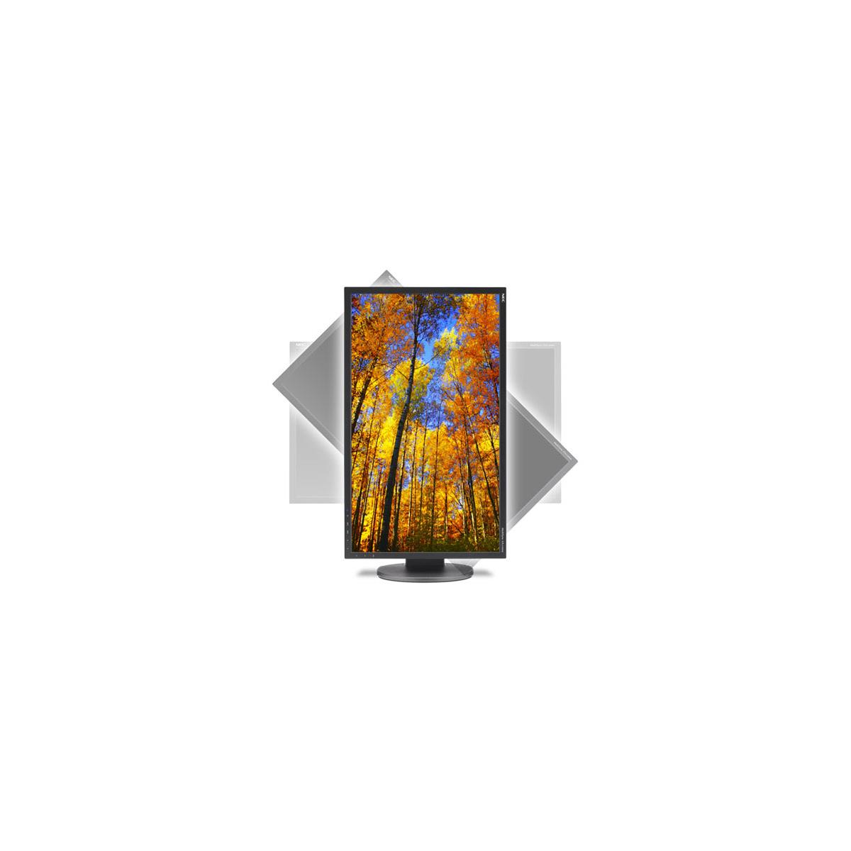 NEC EA224WMI 22" LEDBacklit Widescreen Desktop Monitor with IPS Panel