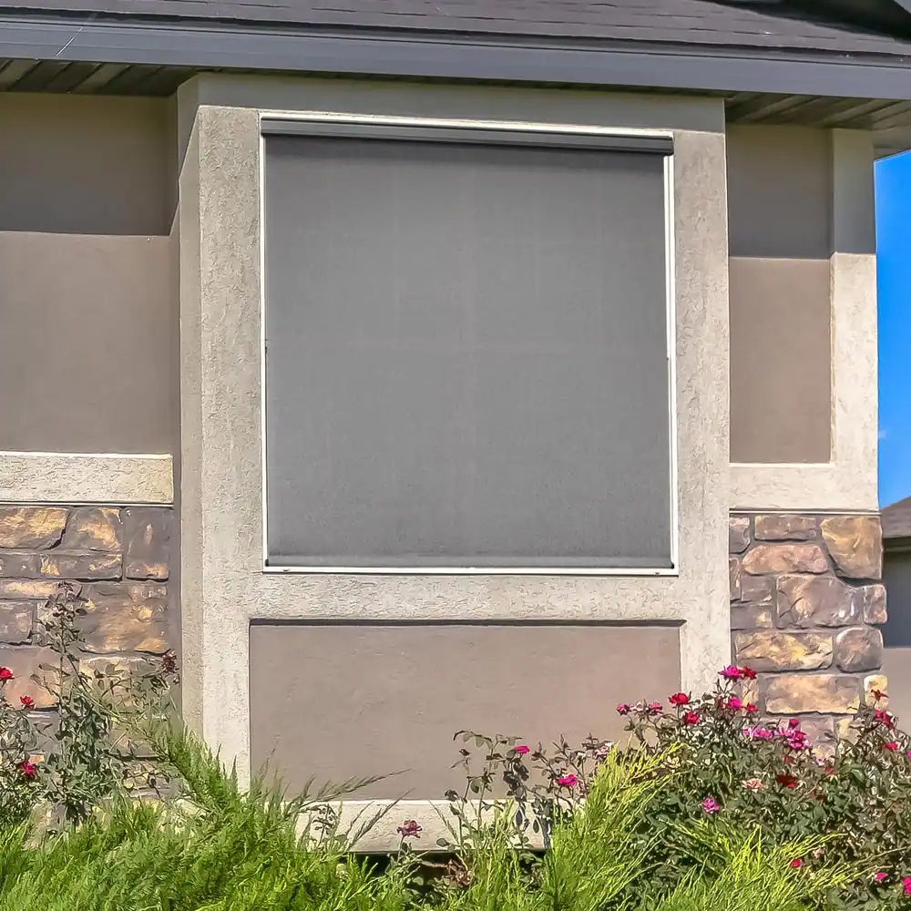 Imagen de producto 6