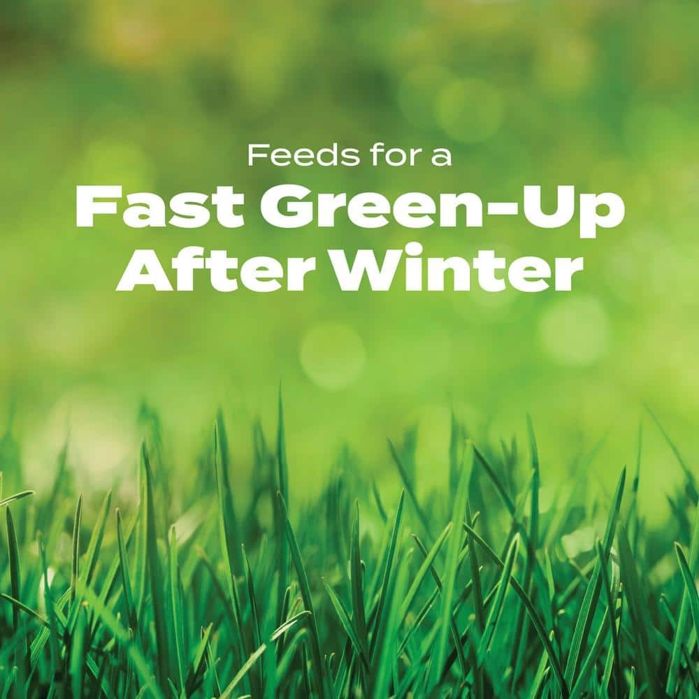 Imagen de producto 5