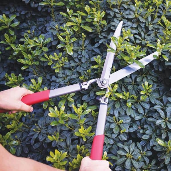 Imagen de producto 7