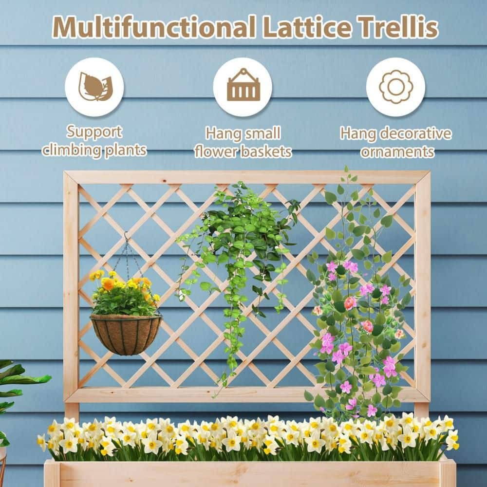 Immagine del prodotto 7