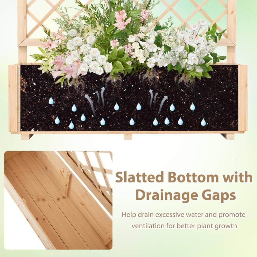 Immagine del prodotto 5