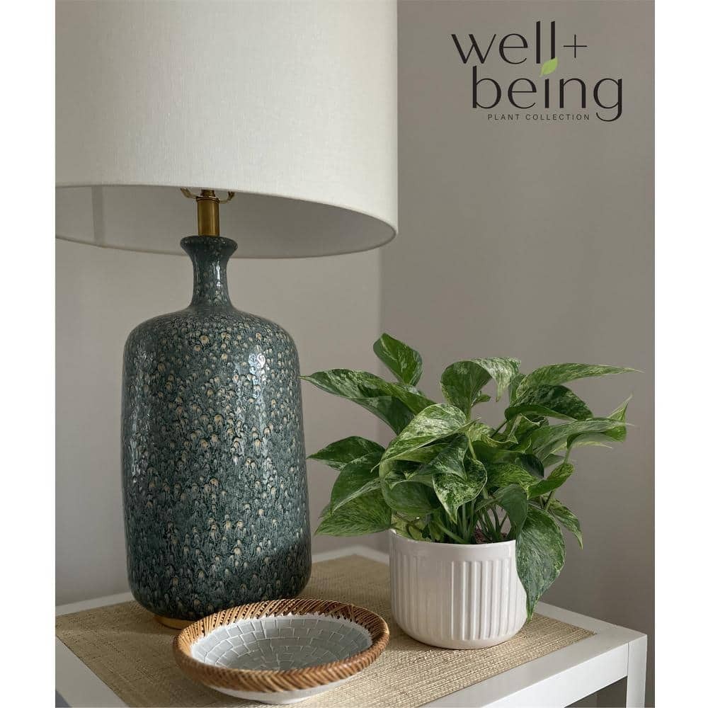 Imagen de producto 3