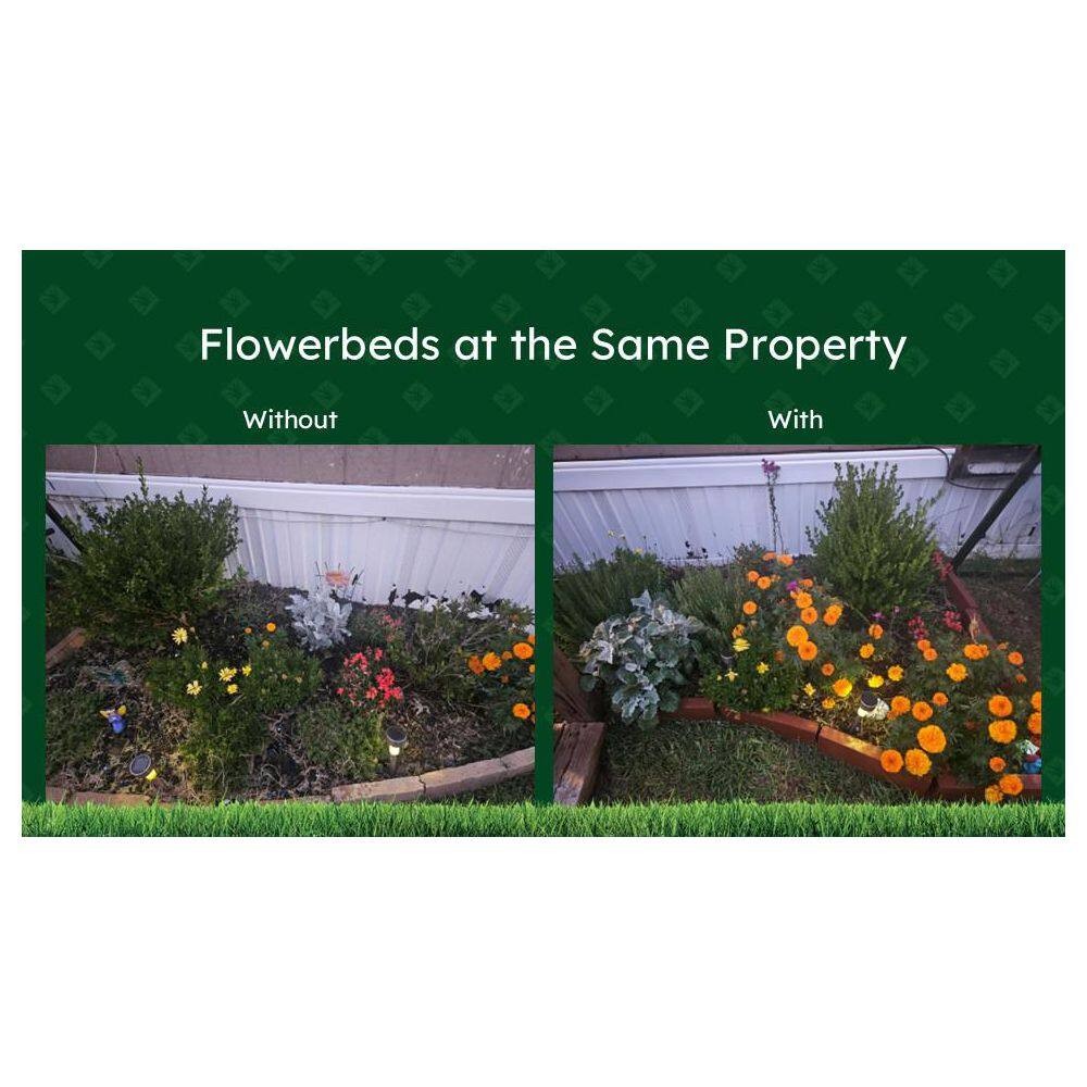 Imagen de producto 4