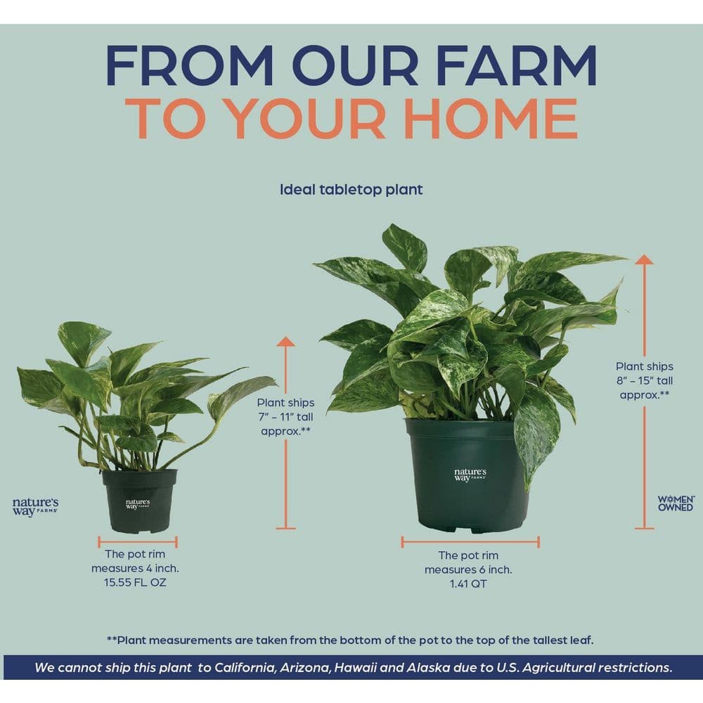 Imagen de producto 2