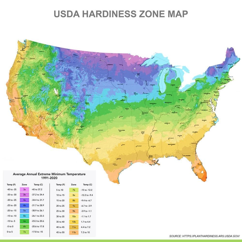 Imagen de producto 7