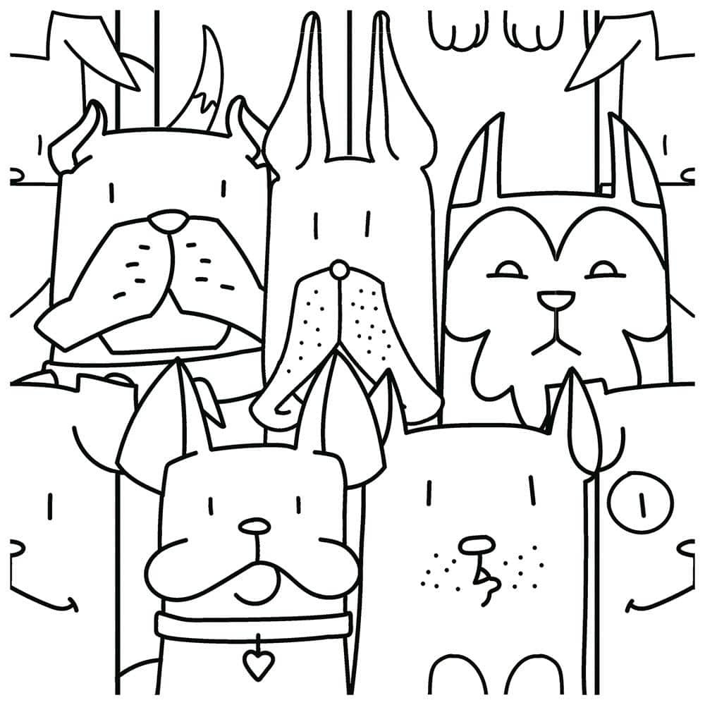 Immagine del prodotto 3