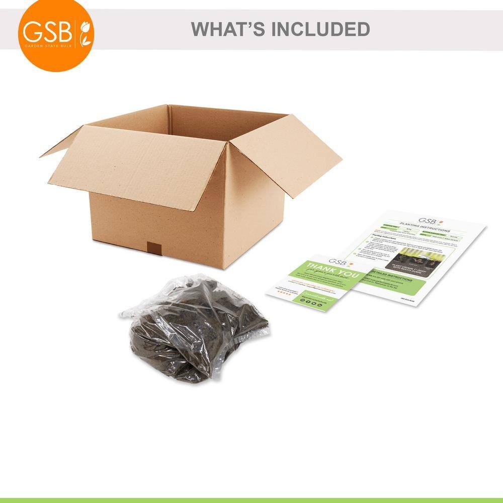 Imagen de producto 6